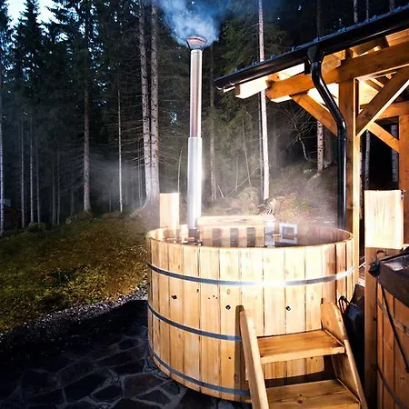 Hostel Bjornsonka *